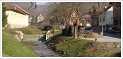 dreznik