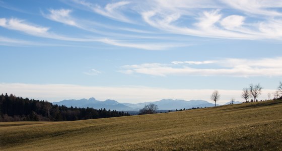 polj