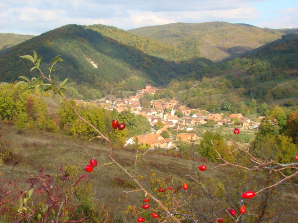 panorama-23-e1385481366558