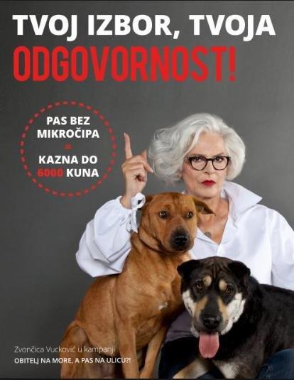 Foto psi