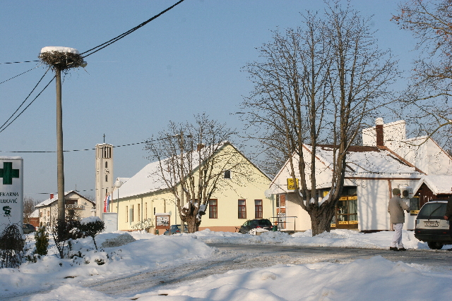zima