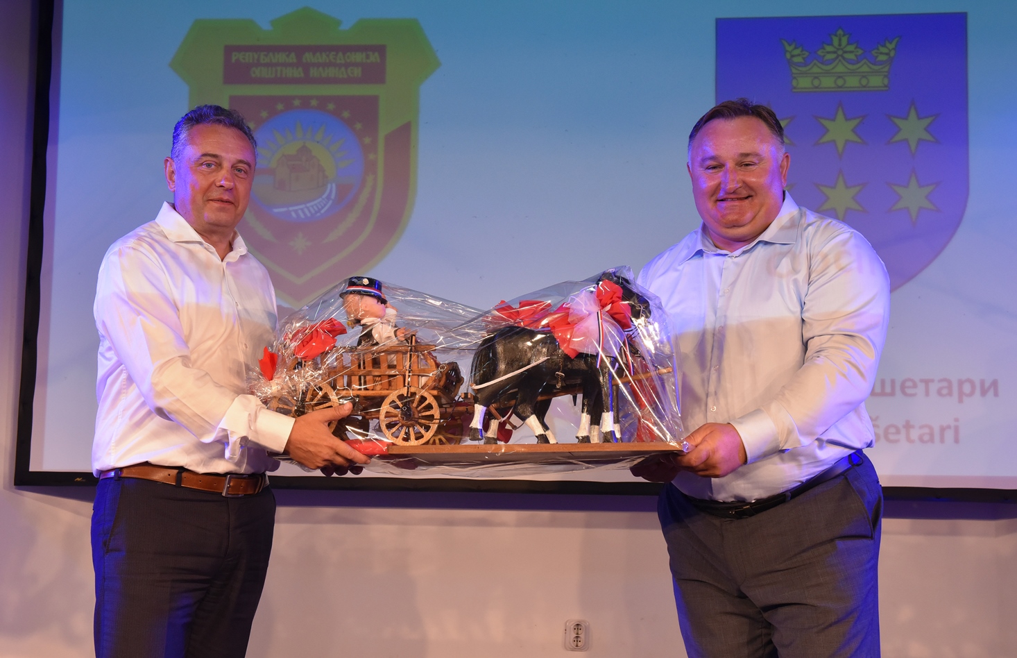 KudDreznikResetari10